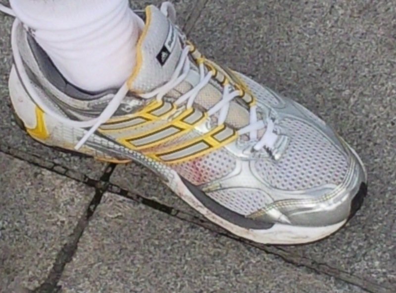 a sneaker with a bloodstain on the instep